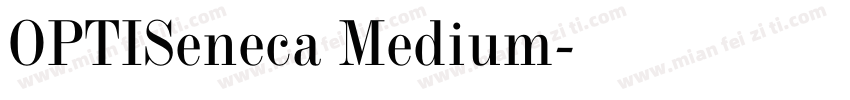 OPTISeneca Medium字体转换